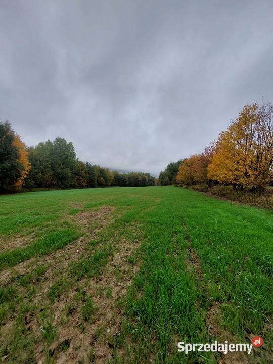 Sprzedam działkę rolną 119 ha Pstrągowa 230m Sprzedaż