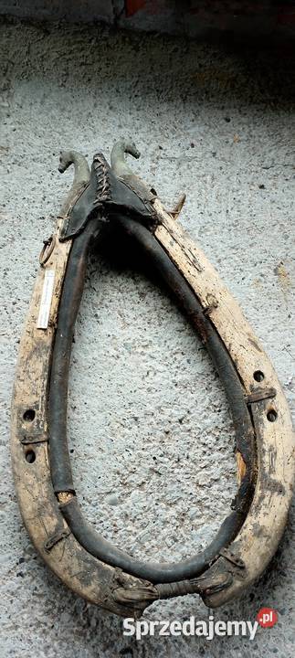 Chomonto na foto kolekcjonerowi Jarosław