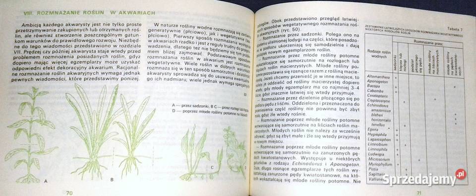 Akwarium w mieszkaniu Stefan Kornobis Książki i Podręczniki Chełm