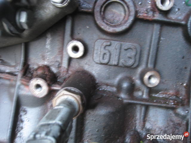 Silnik do Peugeot 306 20L HDI 2000r Gończyce