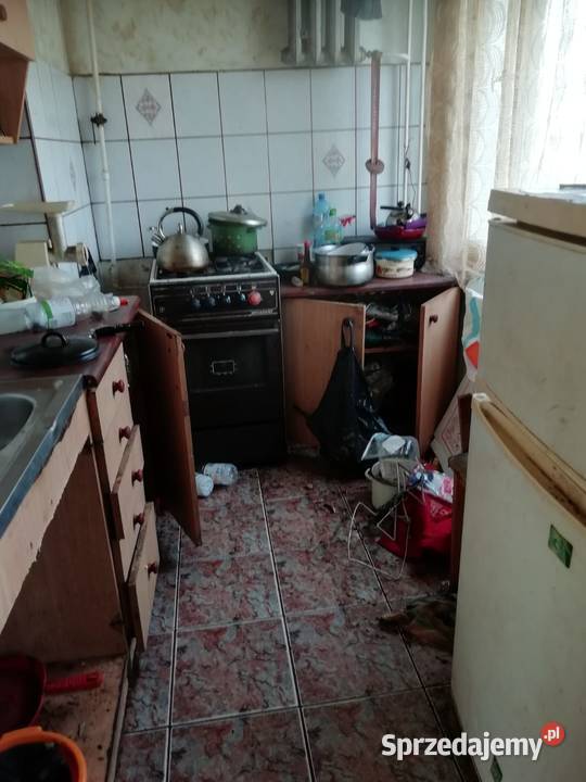Oczyszczanie osobie zmarłej i ozonowanie śląskie