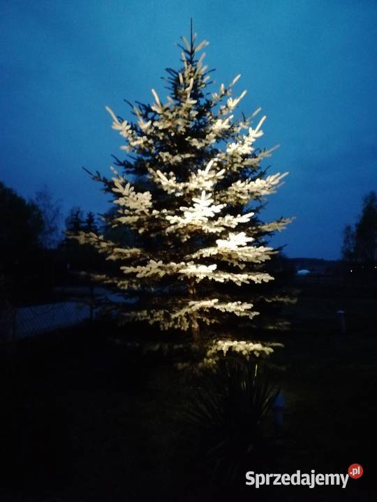 REFLEKTOR ALUMINIOWY ZEWNĘTRZNY 10 Łask