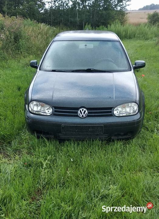 Golf 4 klima 2001 14 benzyna bez prawa Volkswagen Brodnica