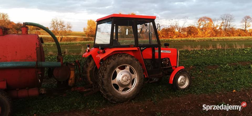 MF 255 W ŁADNYM STANIE Gończyce