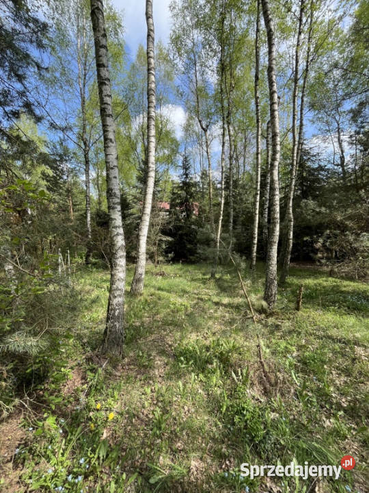 Działka z domkiem letniskowym w klimatycznym 1200m2 mazowieckie Rynia