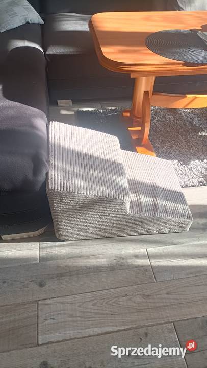 Sprzedam schodki psa kota do 20 Nysa sprzedam