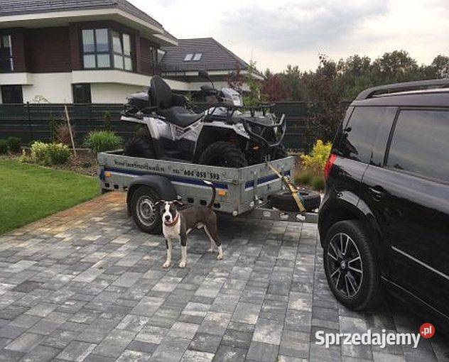 Przyczepa Wiola lekka hamowana wzmocniona towarowe Opole