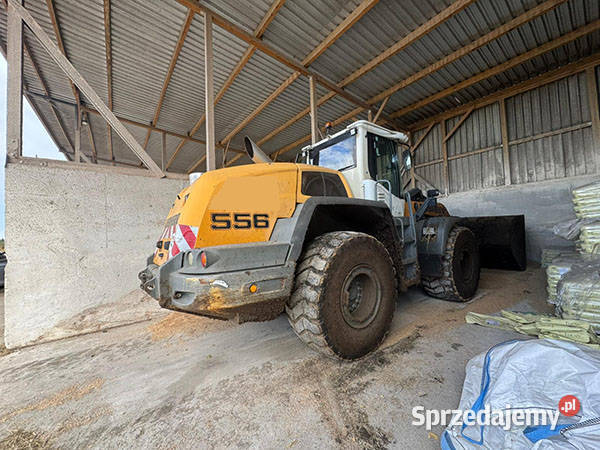 LIEBHERR Wyłączanie Usuwanie SCRDPFEGR Kraków