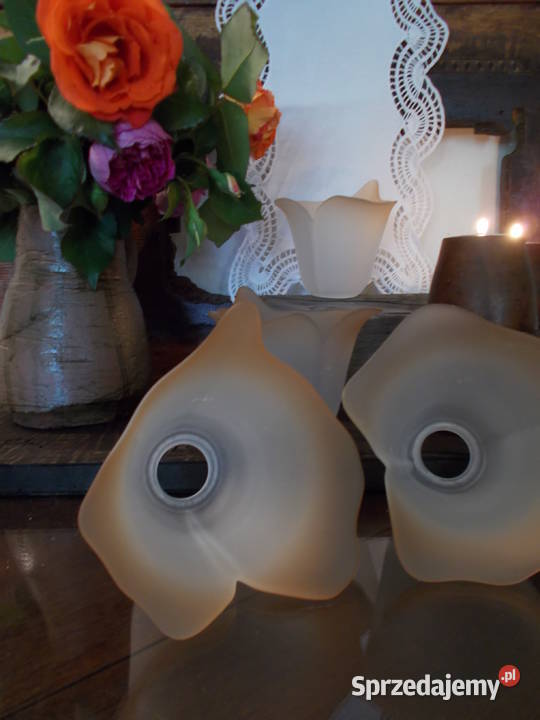 Piękny Klosz Kwiat Kalii Grube Szkło Lata 90 Pozostałe zachodniopomorskie Szczecin