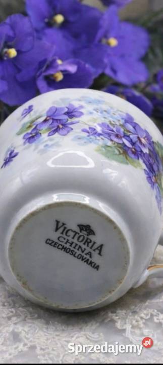 Victoria CzechosłowacjaFiolki Wiktoriańska Pabianice