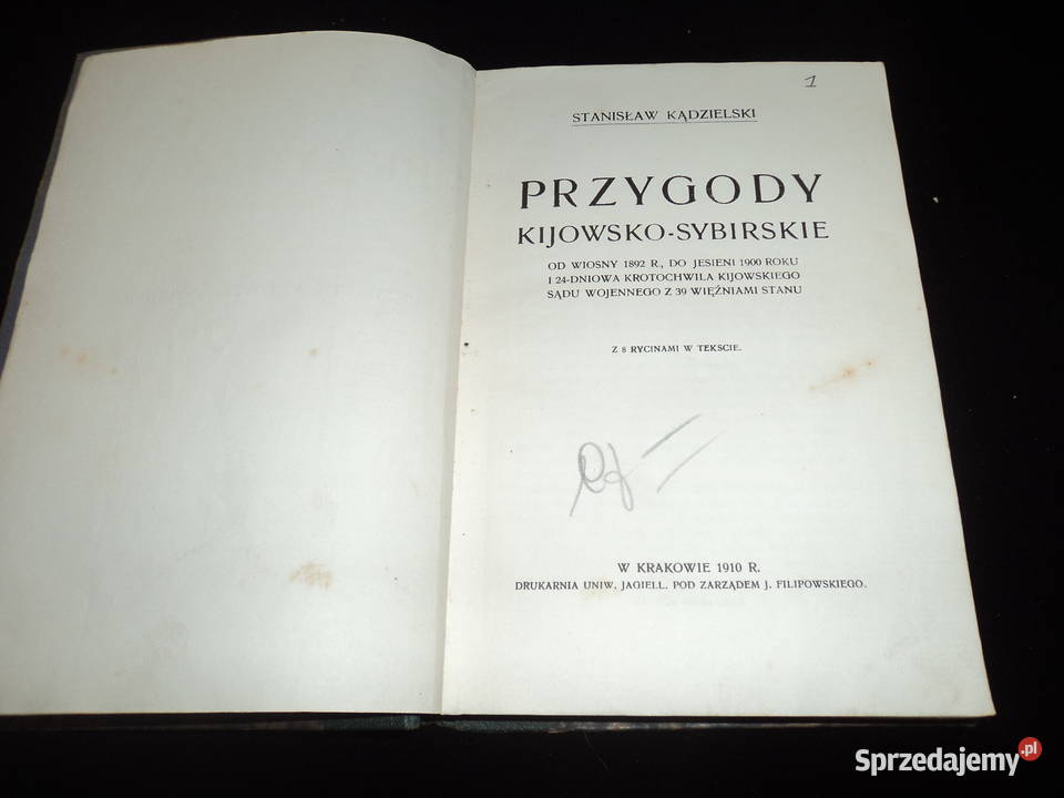 Przygody kijowskosybirskie Stanisława małopolskie Nowy Sącz sprzedam