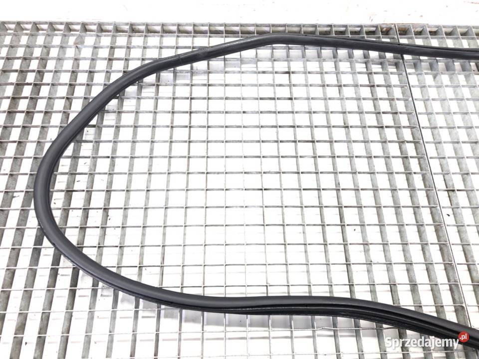 USZCZELKA DRZWI TYŁ LEWA BMW F30 Hatchback 1118 podkarpackie