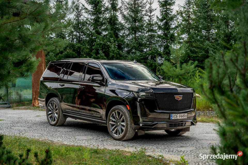 Cadillac Escalade III ESV LUXURY 30 DIESEL V6 Rok produkcji 2023 Ropczyce
