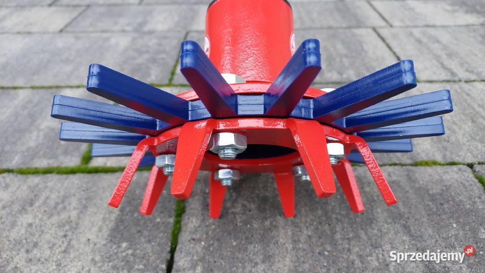 22 gwiazda gwiazdy słoneczko pielące pieląca Kutno