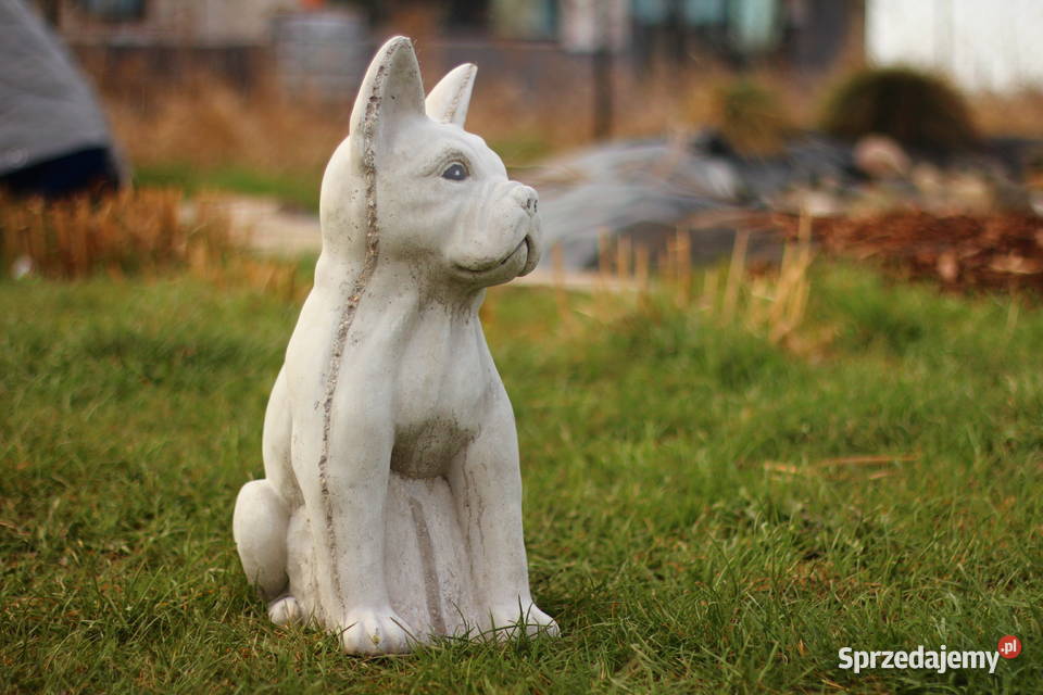 Figury rzeźby ogrodowe betonowe pies Goliszów