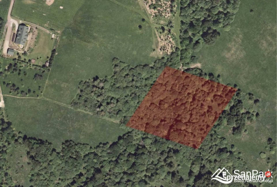 Grunt Krzywe 10100m2