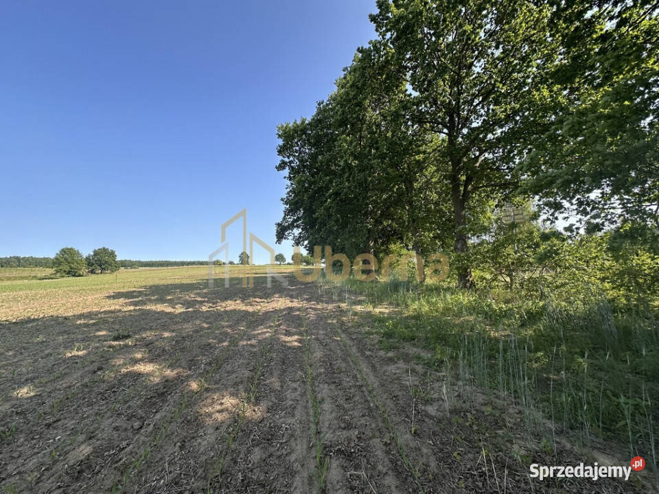 Działka z WZabudowy w Radzanku GmMaszewo utwardzona Radzanek