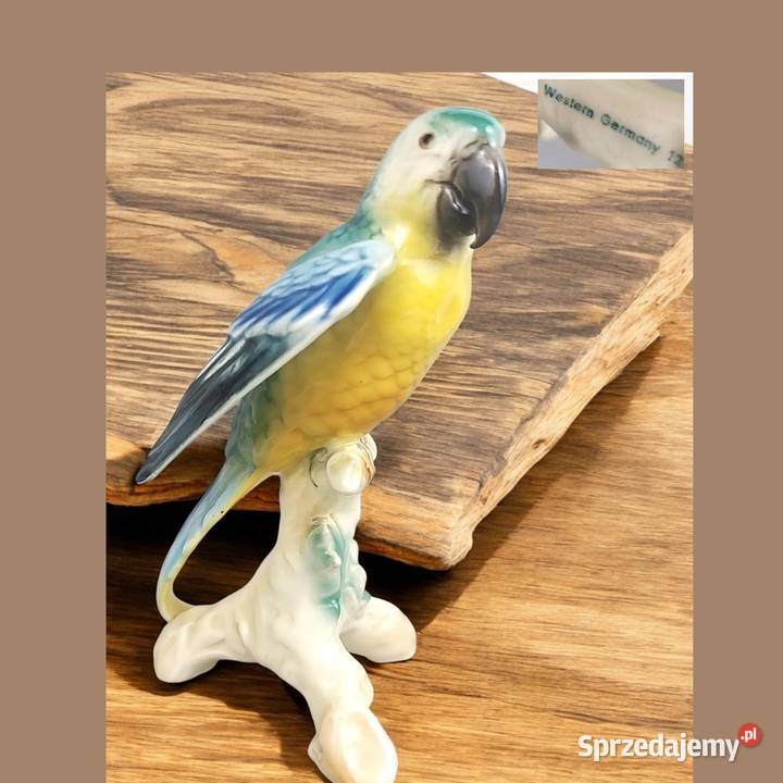 Papuga WG Cortendorf Western Germany Bavaria Bronisze