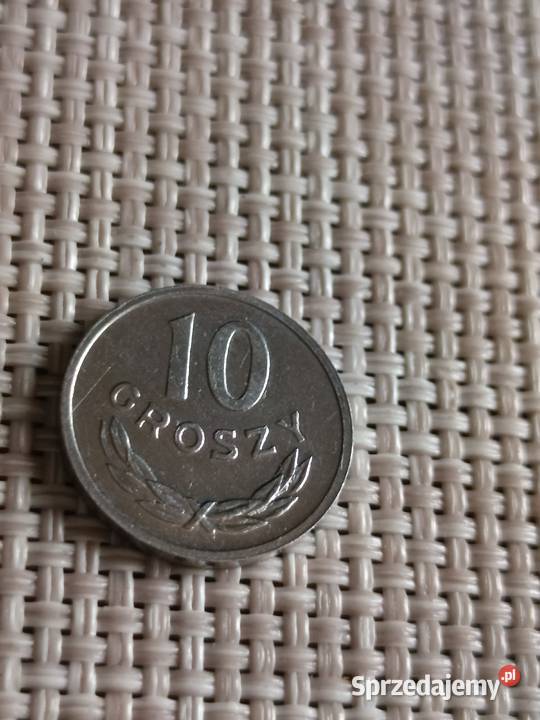 Sprzedam 10 gr 1980 r Chełm