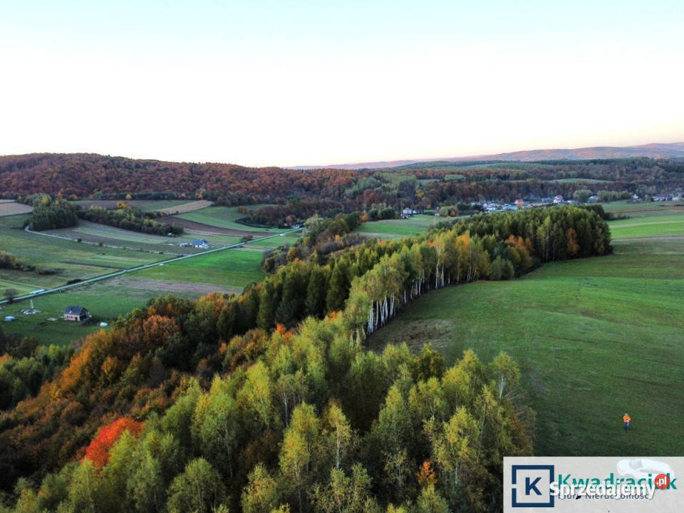 Działka 57900m2 Wolica