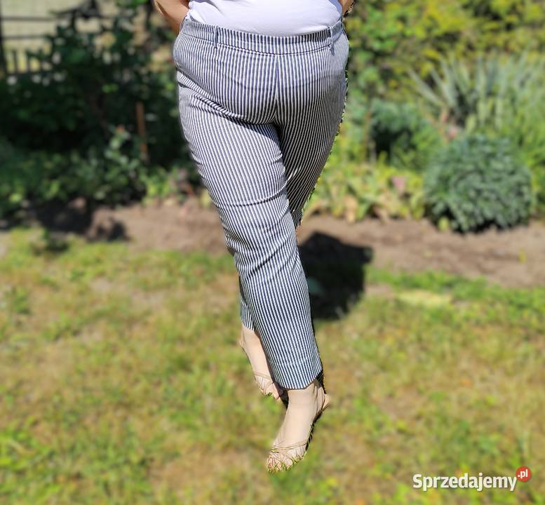 Spodnie HM 50 5XL plus size cygaretki w kant w Szczecin