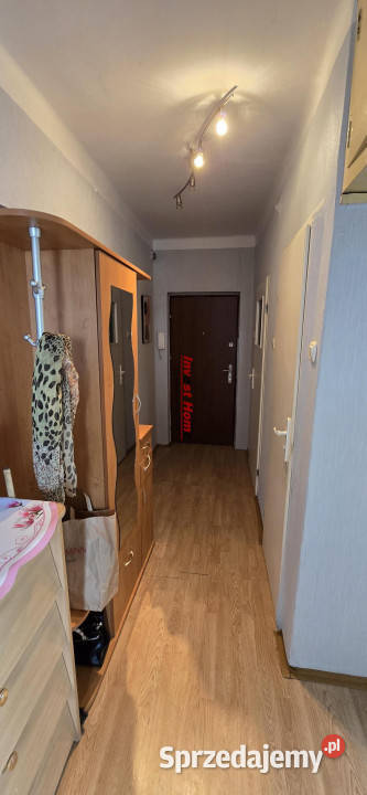 Mieszkanie do sprzedania 6668 metrów 3 pokoje 66.68m2 śląskie Pszów