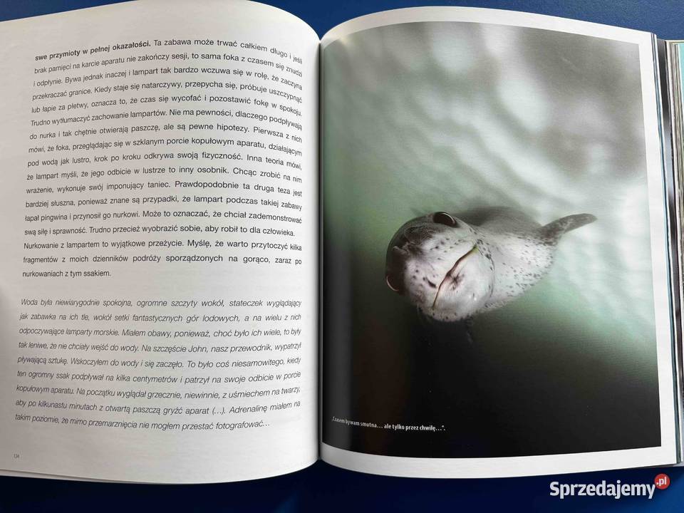Książka Nurkowa Antarktyka Podwodne Zauroczenie Bytom