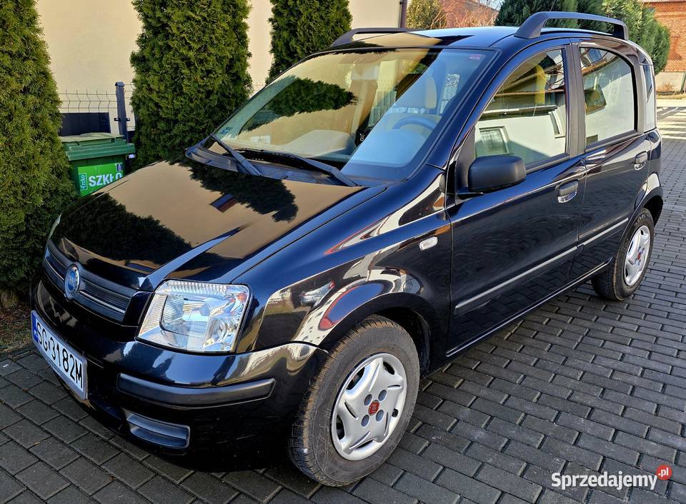 Panda Dynamic 12 City Klimatyzacja super stan Koziegłowy