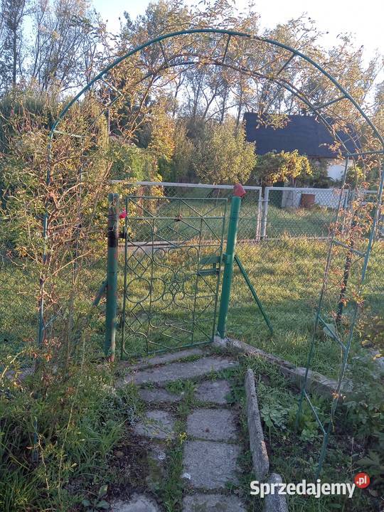 Prawo dzierżawy działki ROD Oleśnica