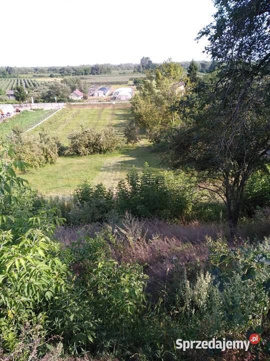 Działka budowlanorolna Sprzedaż Zawichost