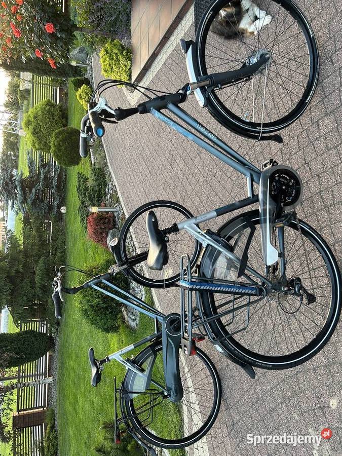 Rower miejski Gazelle Eclipse D 53