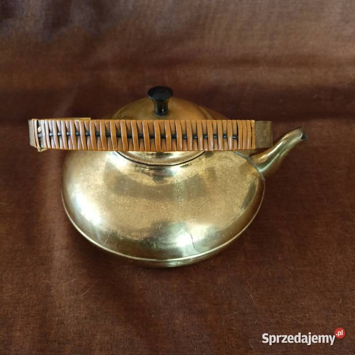 MAŁY PIĘKNY GZAJNIK HOLANDIA