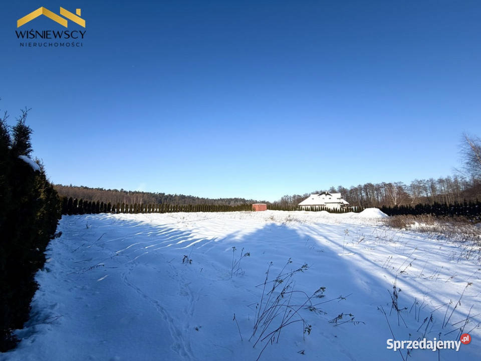 Działki 2319 m Zajezierze gotowe pod budowę utwardzona
