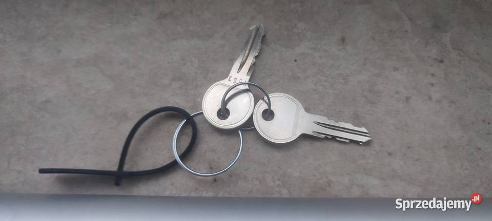 Oryginalne belki w relingi Ford Focus MK2 osobowe Relingi dachowe Krosno