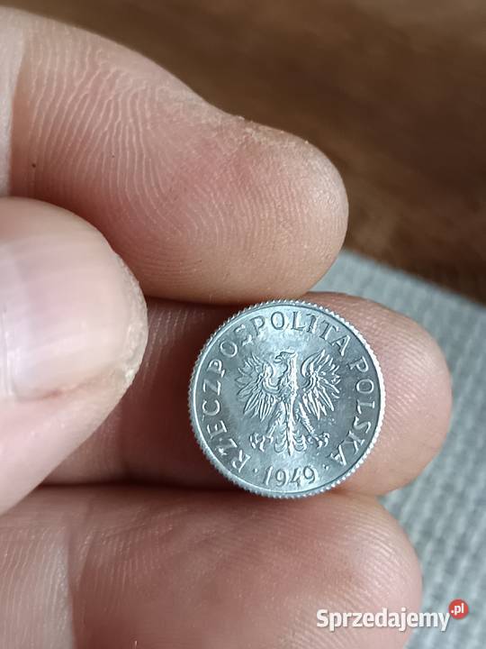 Sprzedam 1 grosz 1949 r Chełm