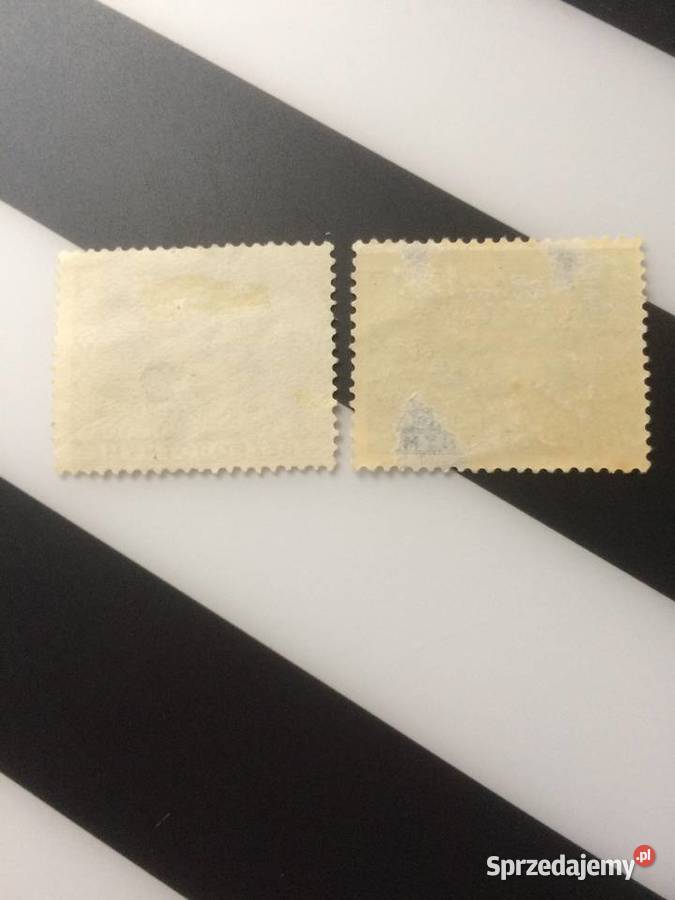 1012 Cegiełki Zimowa Pomoc Bezrobotnym Szczecin