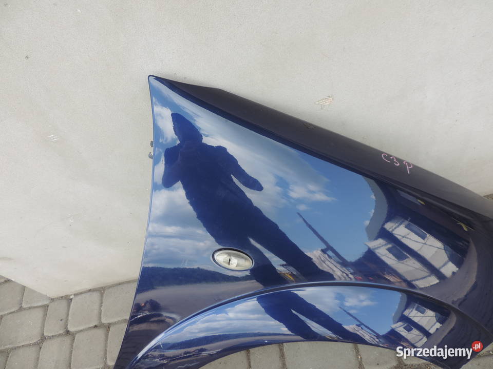 BŁOTNIK PRAWY PRZEDNI CITROEN C3 I KPUD małopolskie