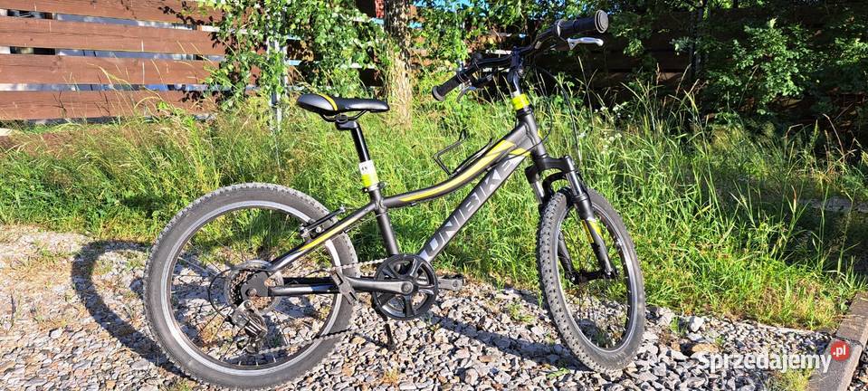 Unibike Pilot rower dziecięcy 20 małopolskie