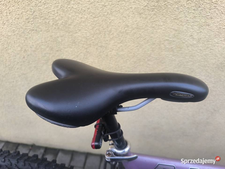 Rower Górski Falcon Górskie, MTB kujawsko-pomorskie Grążawy