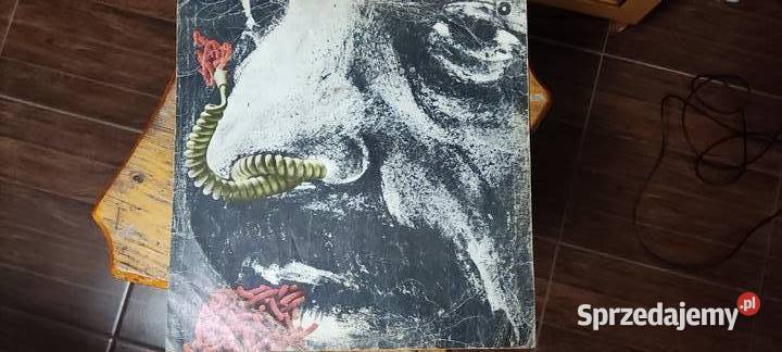 Kombi Kombi 4 rock Gliwice