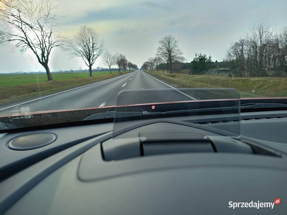 Mazda CX3 20 29000 Przebiegu Full LED Skóra Navi nieuszkodzony