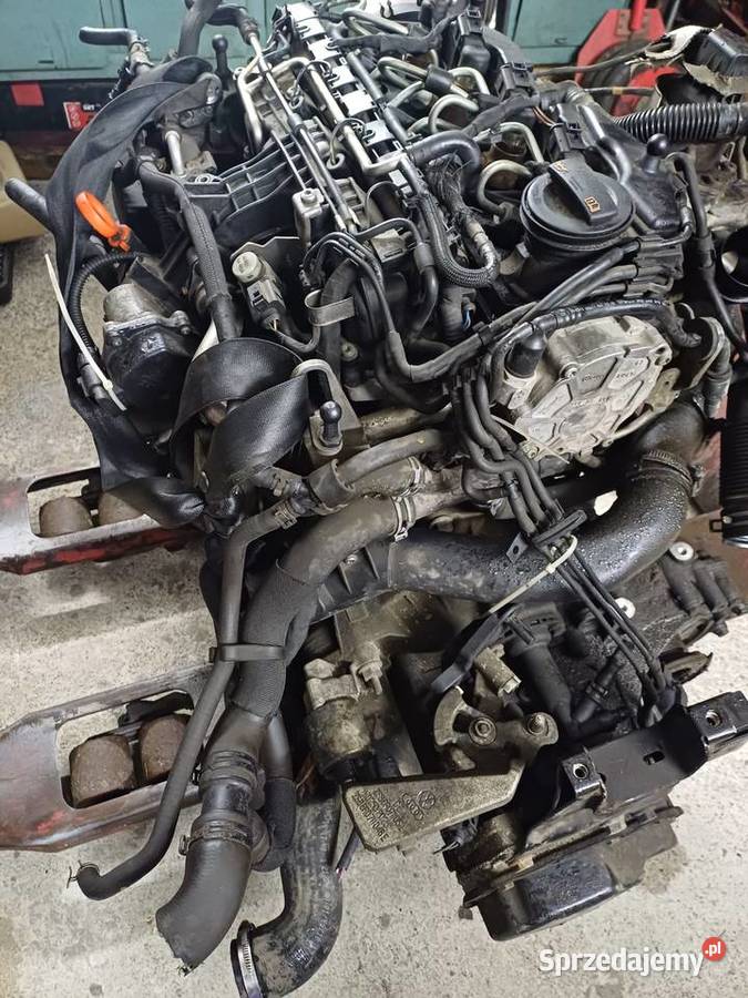 Silnik vw 16 tdi caya skoda passat audi golf Pszczyna