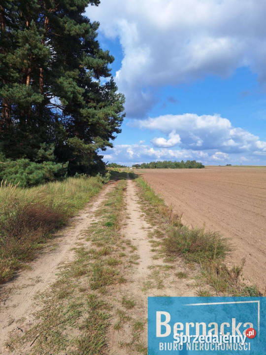 Działka budowlana Grunty i działki