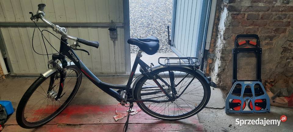 Viktoria Rower Demblin