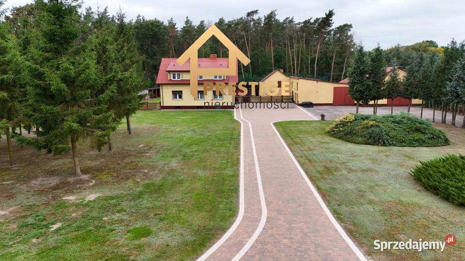 Dom budynki gosp pod biznes lesie ogródek Sprzedaż