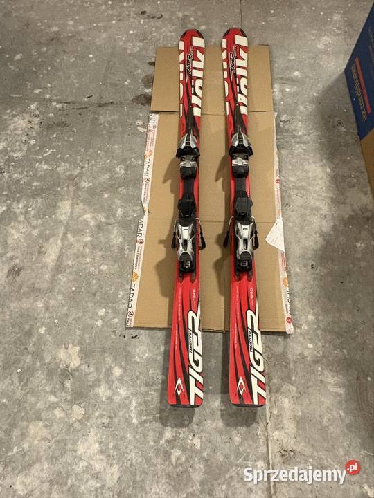 Narty Volk Tiger Narty zachodniopomorskie Szczecin