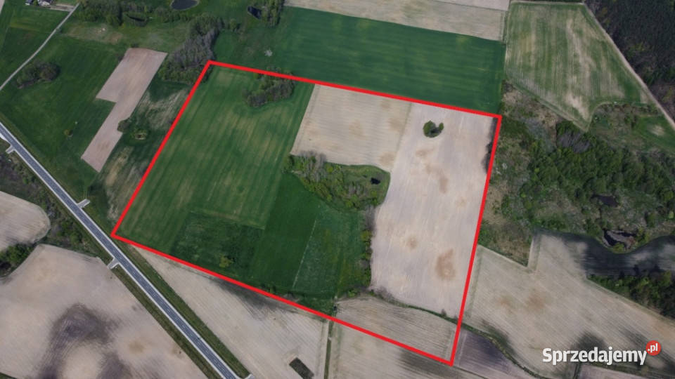 11 ha w jednym kawałku foremna działka 8 Lipna Suradowo