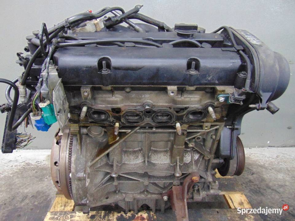 Silnik 16 duratec 16v Ford 7m5g 4m5g kolektor Grajewo sprzedam