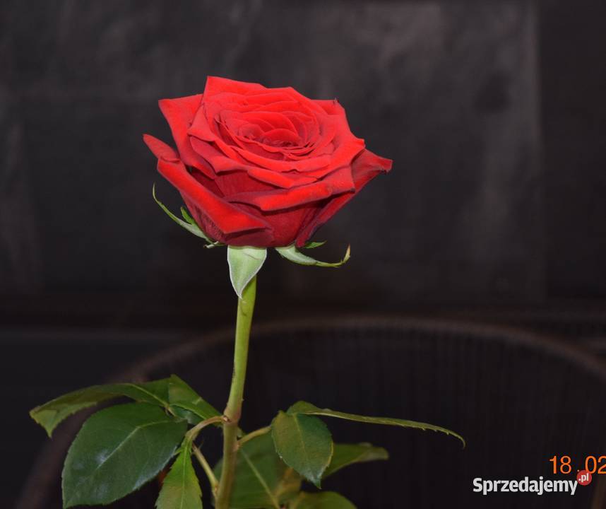 zestaw ogrodowy 61 technoratan obiadowy Róża metal Bosutów sprzedam