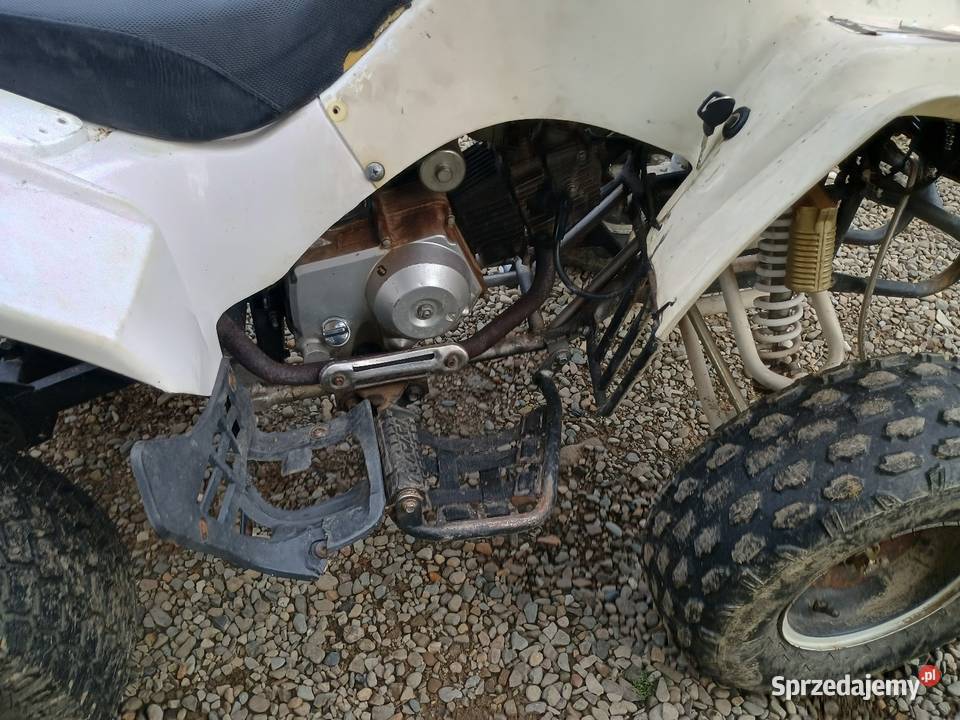 Quad ATV 125 Pozostałe Czaszyn